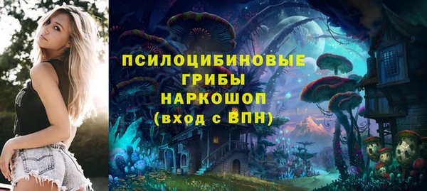 дурь Алексин