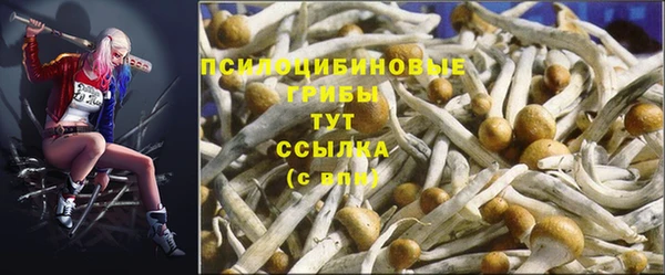 ECSTASY Алексеевка