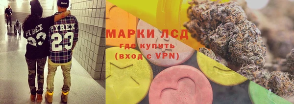 ПСИЛОЦИБИНОВЫЕ ГРИБЫ Алзамай