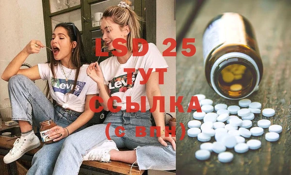 ПСИЛОЦИБИНОВЫЕ ГРИБЫ Алзамай