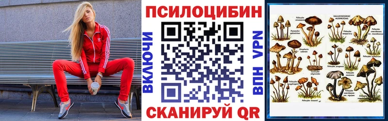 как найти закладки  Анапа  Псилоцибиновые грибы Psilocybe 
